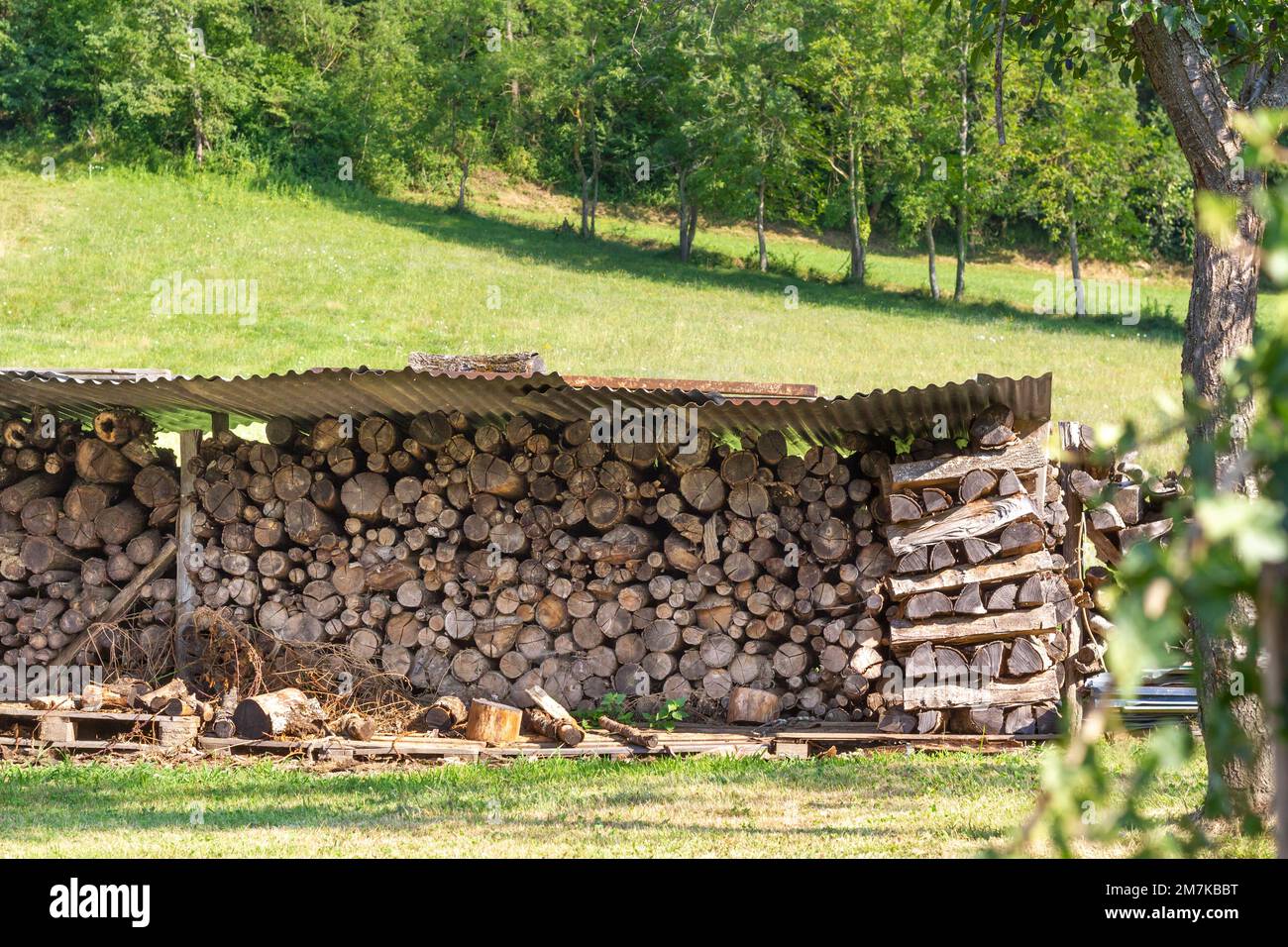 Pile de bois haché pour feu d'hiver sur le pittoresque champ d'été vert des Pyrénées, France. Banque D'Images