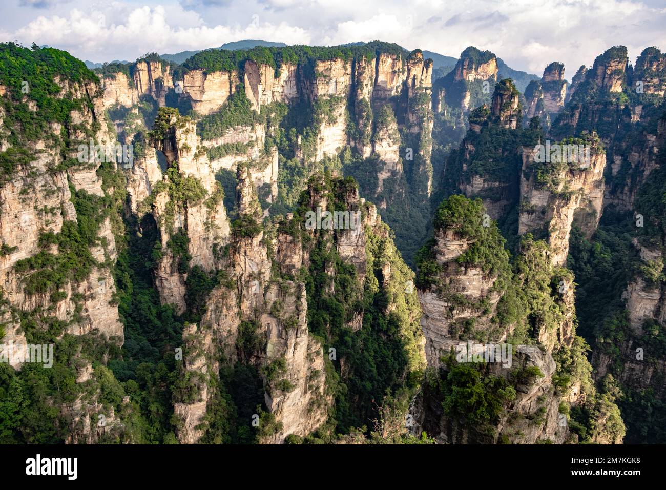 Parc forestier de Zhangjiajie. Paysage majestueux de rochers et de vallées uniques en forme de piliers. Vue panoramique sur le canyon des montagnes Avatar. Banque D'Images