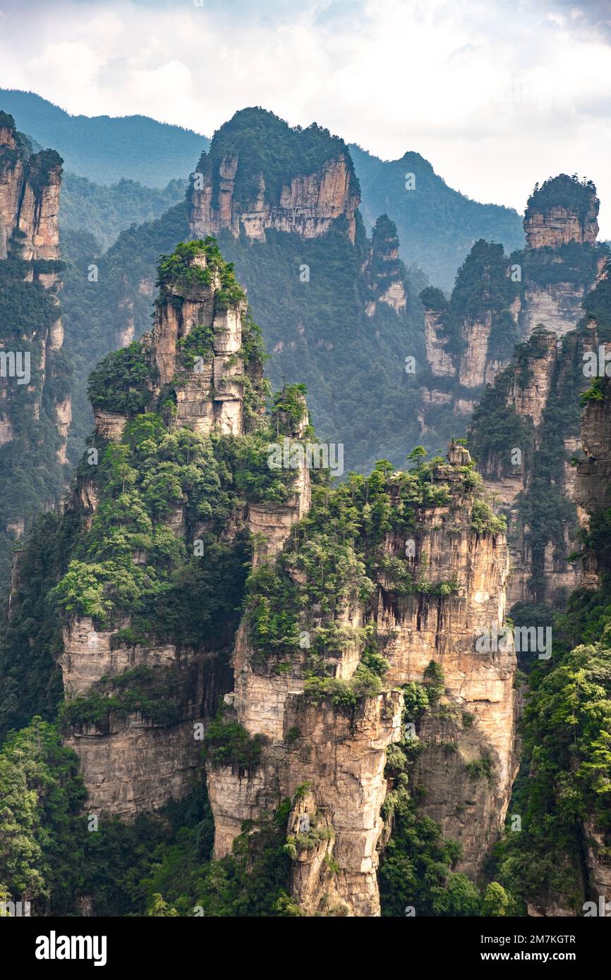 Parc forestier de Zhangjiajie. Pierres de piliers de forme étrange, vallées cachées. Paysage majestueux de la vallée de la montagne Avatar. Banque D'Images