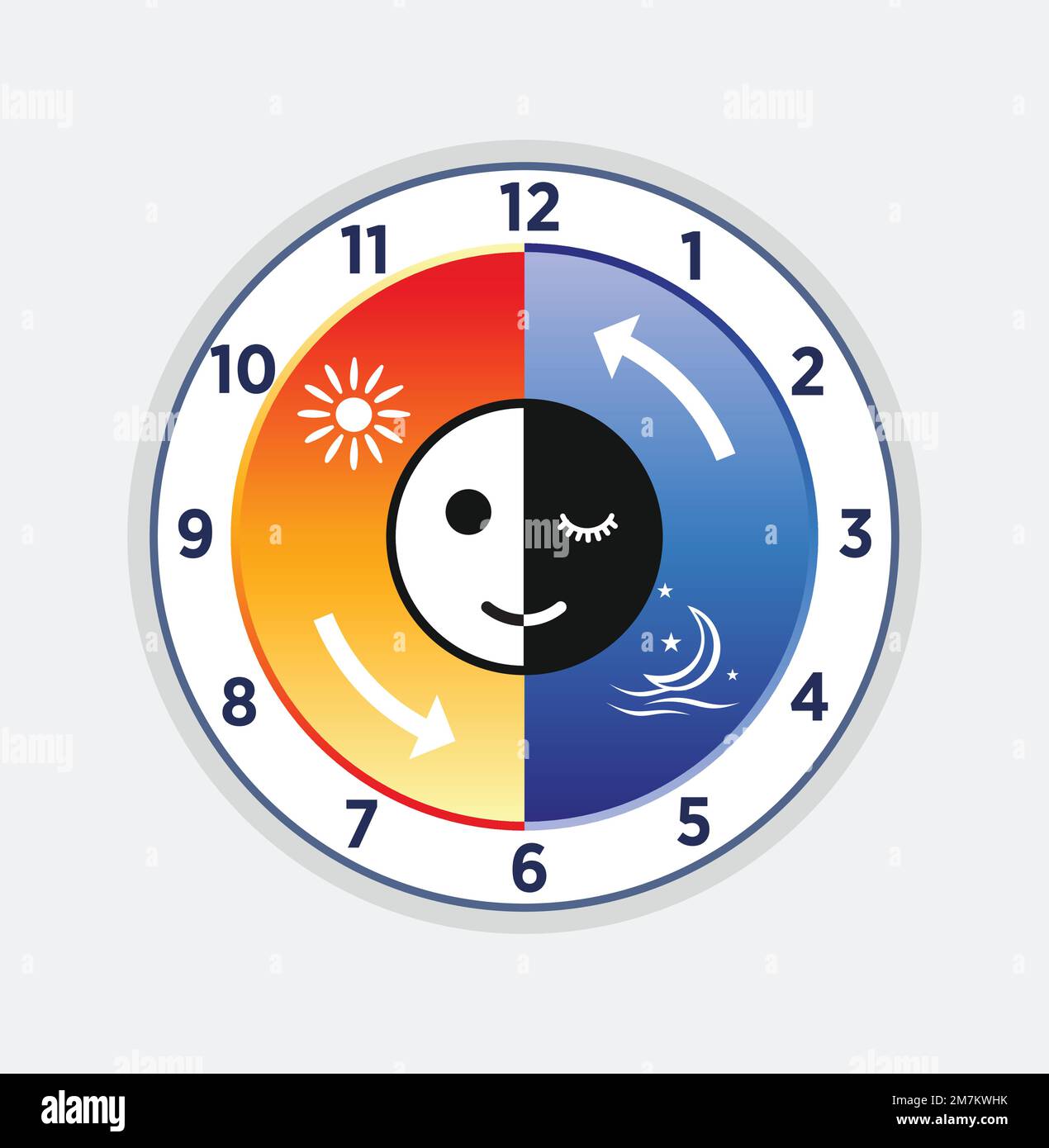 Illustration du rythme circadien et du cycle sommeil-réveil, diagramme biologique du cycle du corps naturel jour-nuit en bonne santé, Illustration de Vecteur