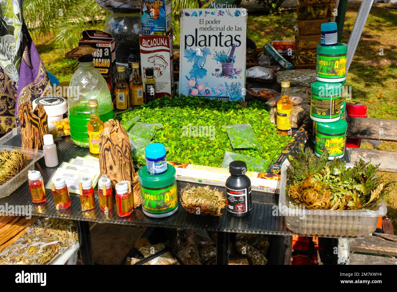 Mexicain Medicinal plants Street vendor, Tizimin main plaza, Yucatan Mexique Banque D'Images