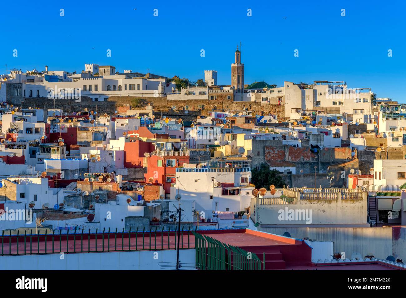 Sur les toits de Tanger. Tourné depuis le toit du Riad Tingis. Minarets, panneaux solaires, palmiers, plats satellites, séchage de lavage et chats! Banque D'Images