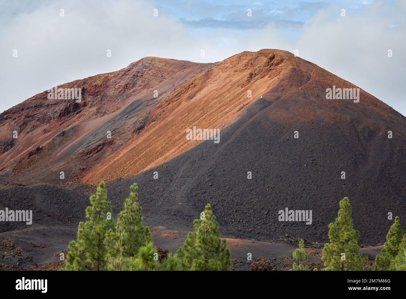 Vue sur le pic et la crête du volcan brun ensoleillé, à travers les pins le long du sentier Banque D'Images