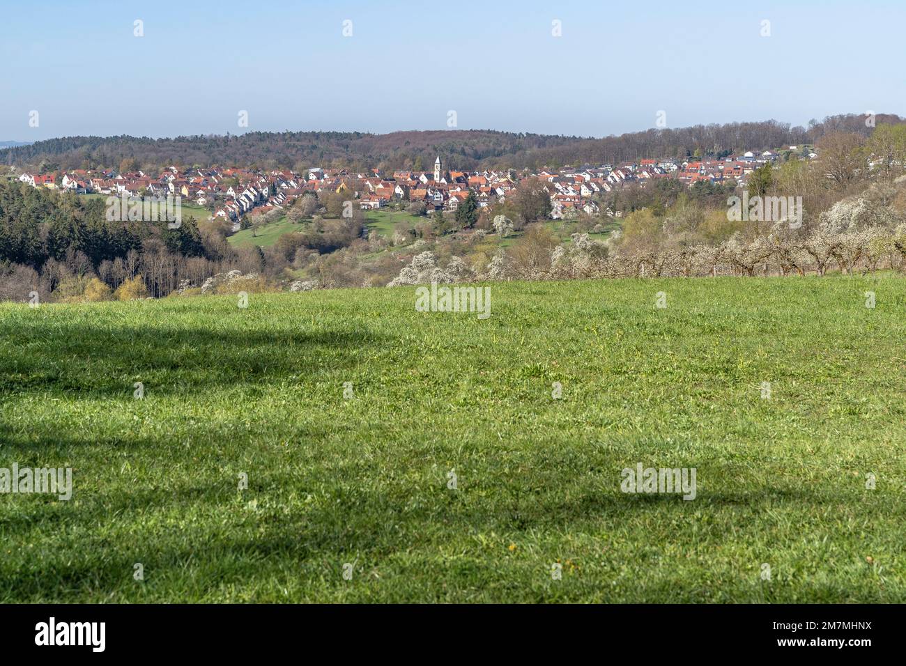 Europe, Allemagne, Sud de l'Allemagne, Bade-Wurtemberg, région de Schönbuch, Vue depuis le bord de la forêt jusqu'au village Hagelloch Banque D'Images