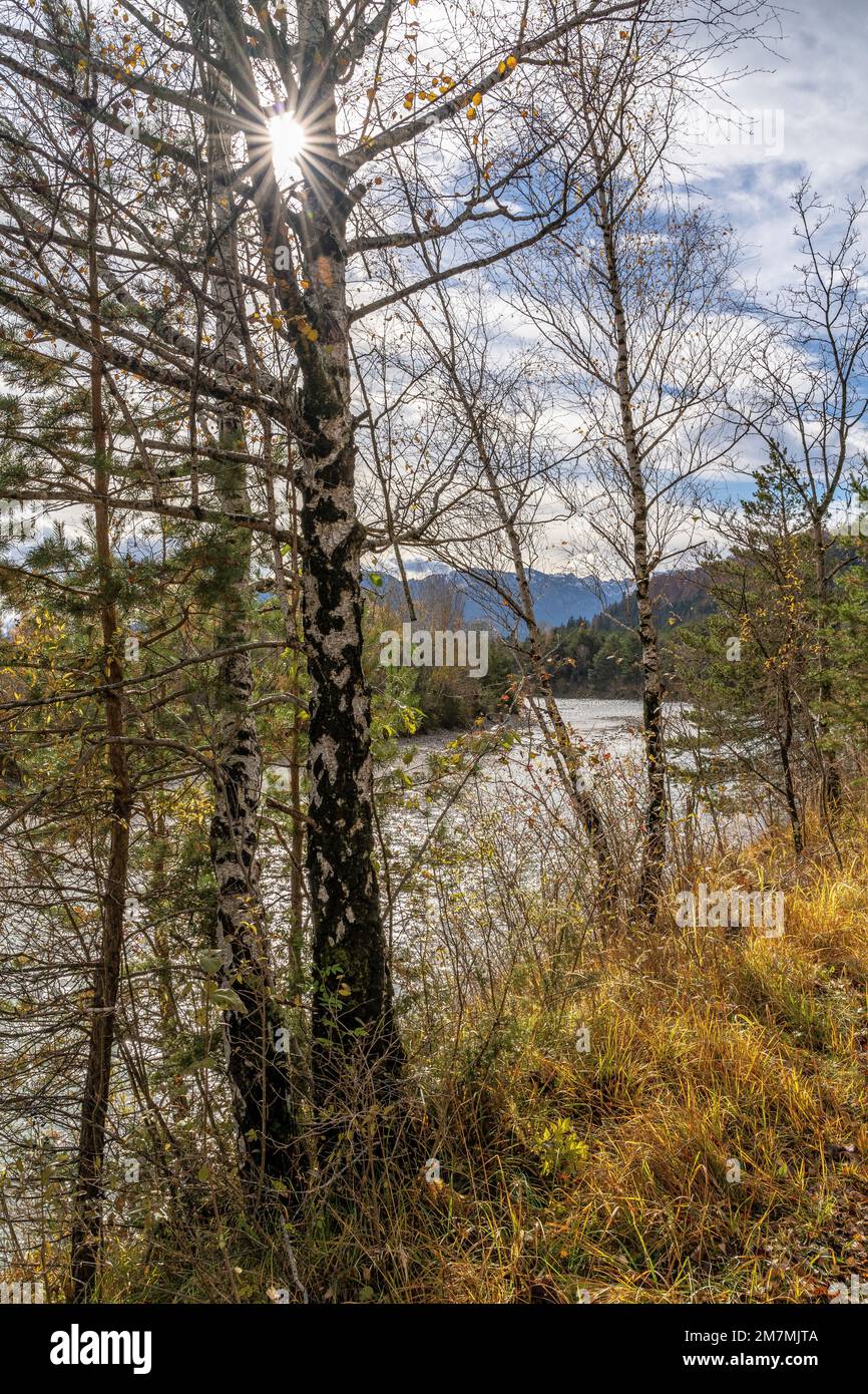 Europe, Allemagne, Sud de l'Allemagne, Bavière, haute-Bavière, Alpes bavaroises, Lenggries, idylle d'automne sur les rives de l'Isar entre Lenggries et Bad Tölz Banque D'Images