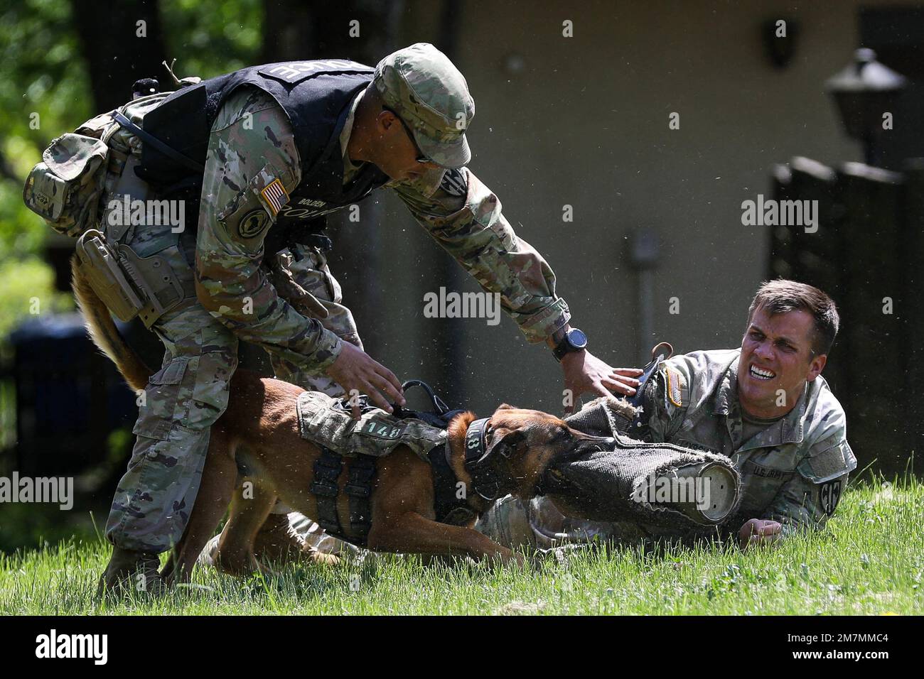 ÉTATS-UNIS Le Sgt Warren Bolden de l'armée avec le détachement de chien de travail militaire de 131st, le détachement de chien de travail militaire combiné - Europe, tient un soldat sur le terrain au club Rheinlander, Baumholder, Allemagne, 11 mai, pour la compétition internationale de chien de travail de 2022. Le chien et le maître-chien ont reçu un scénario de patrouille où ils ont été évalués sur la façon dont ils ont réagi à une série de variables différentes sur le cours. Banque D'Images