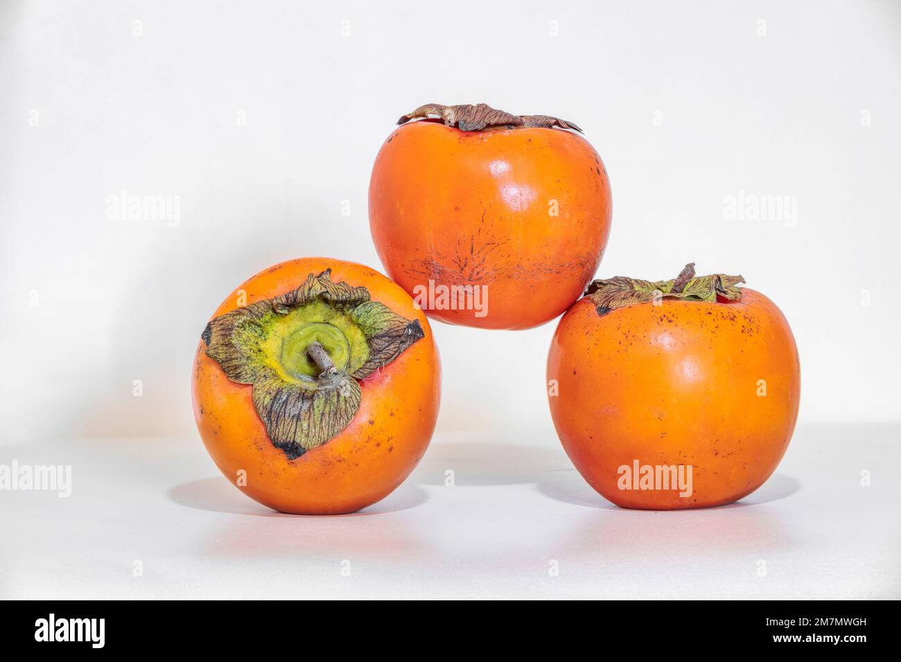 Diospyros kaki, Persimmon, fruits saisonniers isolés sur fond blanc Banque D'Images