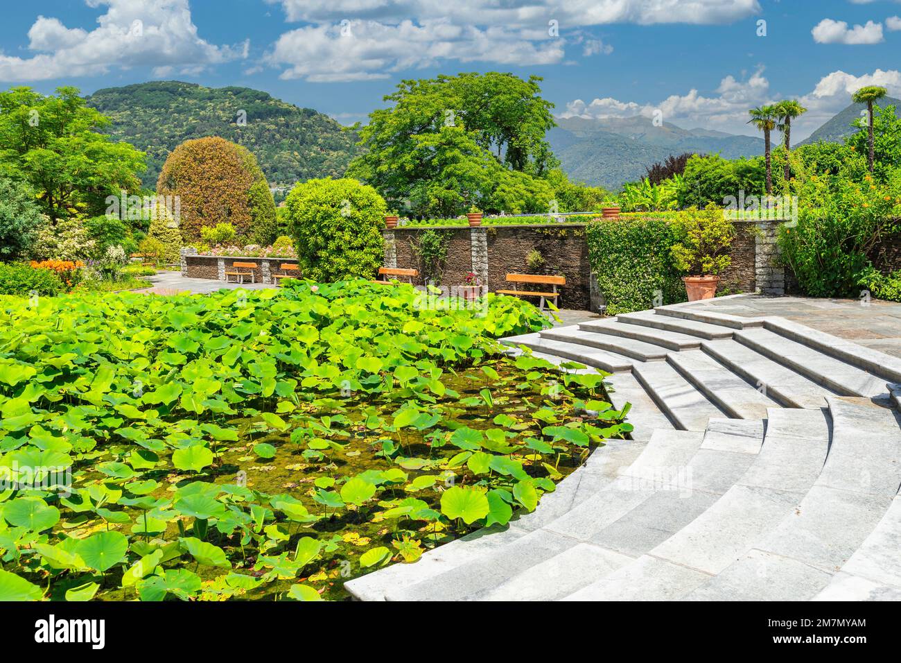 Jardins botaniques de Villa Taranto, Verbania, Lac majeur, Piémont, Italie Banque D'Images