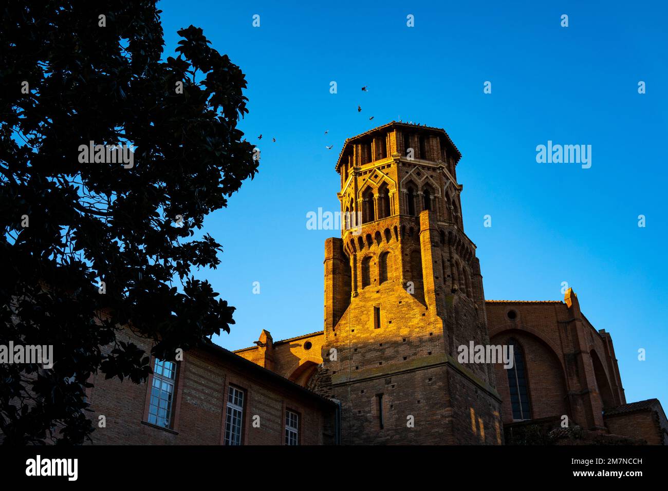 Le couvent des Augustins de Toulouse - Musée des Augustins , France Banque D'Images