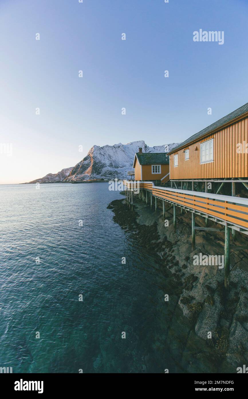 Maisons jaunes avec vue sur la mer à Reine, Moskenesoya, Lofoten, Nordland, Norvège Banque D'Images