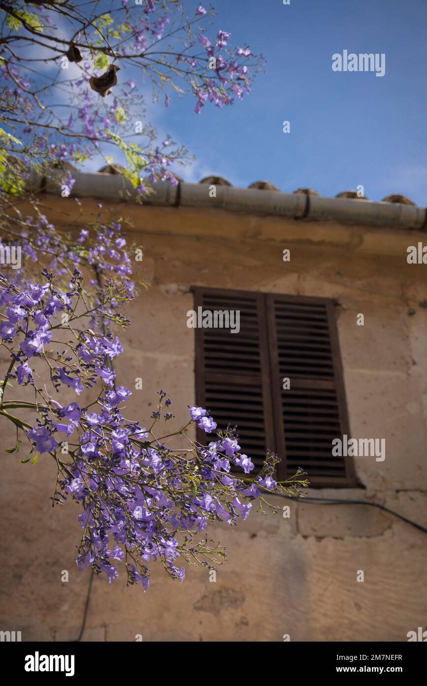 Maison méditerranéenne typique avec volet fermé Banque D'Images