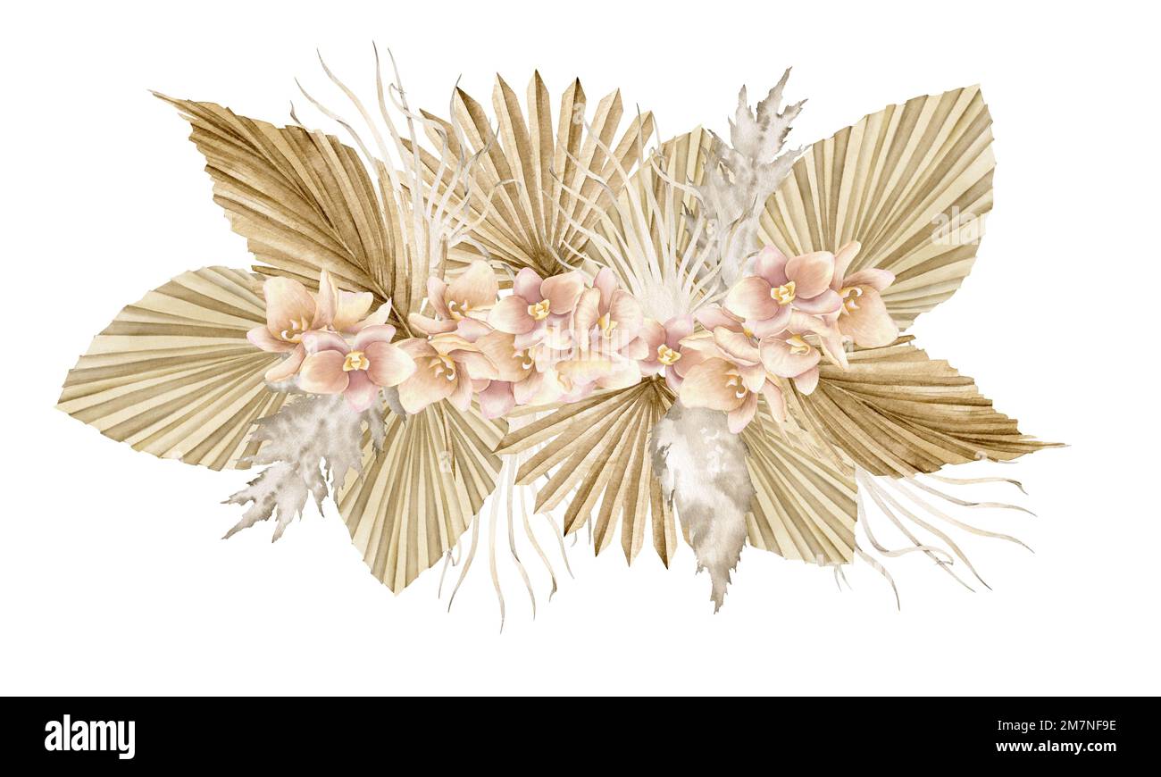 Aquarelle Illustration florale avec fleurs d'orchidée rose et feuilles de palmier séchées dans le style boho. Dessin isolé dessiné à la main avec des plantes tropicales exotiques et de l'herbe de pampas dans les couleurs pastel beige et or. Banque D'Images