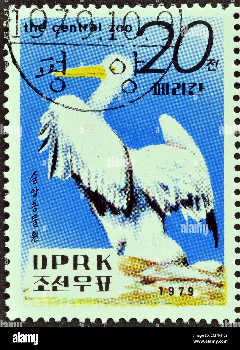 Timbre-poste annulé imprimé par la Corée du Nord, qui montre Dalmatian Pelican (Pelecanus crispus), Central Zoo, Pyongyang, vers 1979. Banque D'Images