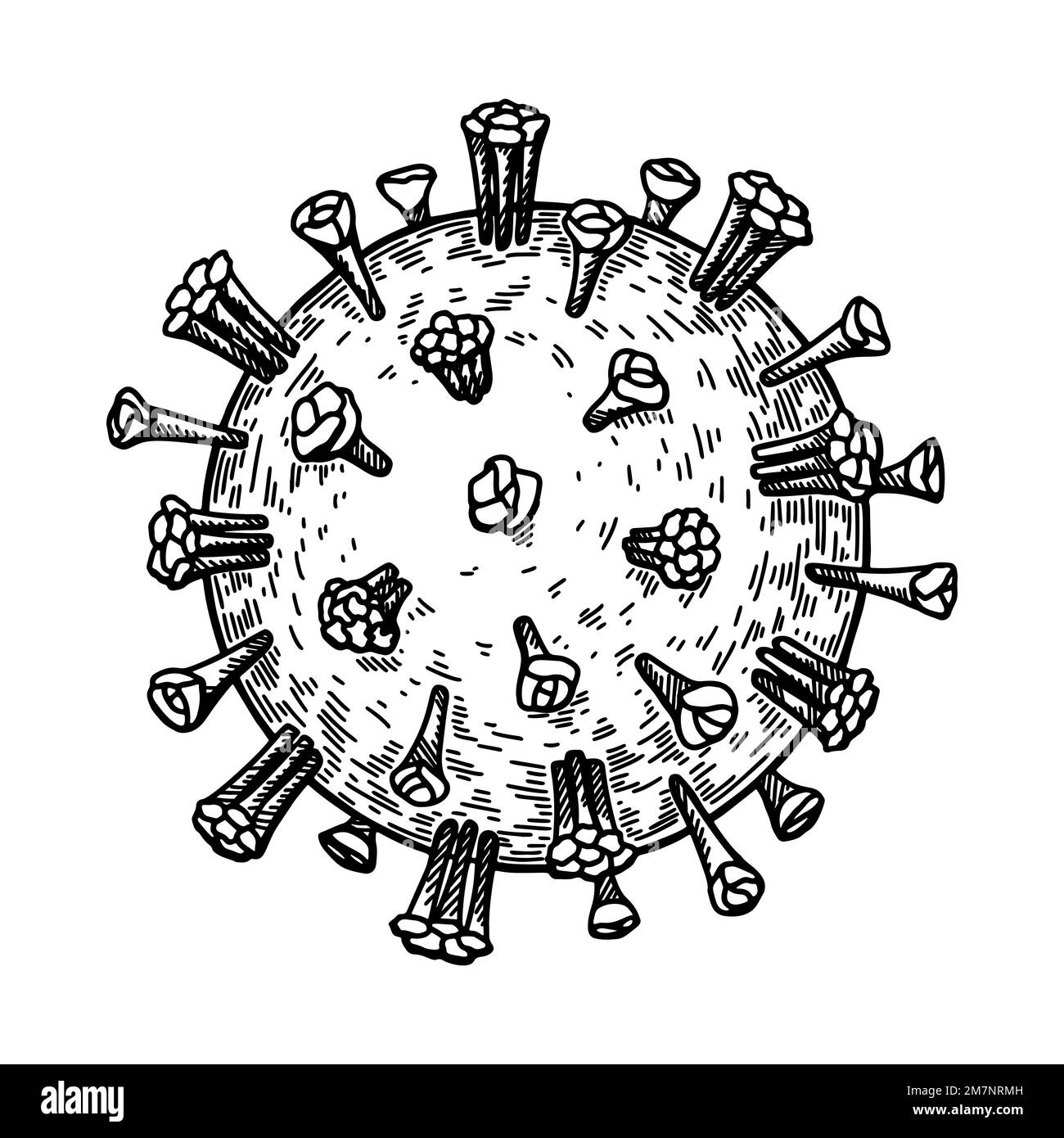 Virus de la rougeole tracé à la main isolé sur fond blanc. Illustration réaliste et détaillée du vecteur scientifique dans le stile d'esquisse Illustration de Vecteur
