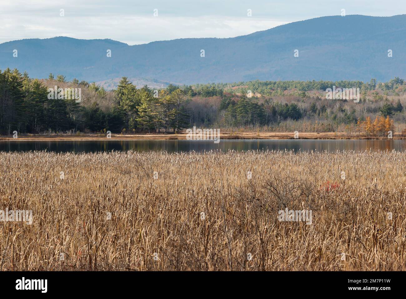 Magnifique Squam Lake est situé juste au nord-ouest de la région des lacs de NH.c'est un cadre plus rural par rapport au lac Winnipesaukee juste au sud. Calme et s Banque D'Images