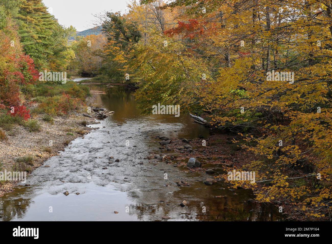 Atwood Brook est un petit ruisseau 3,7miles de Sandwich, NH. Il est proche d'East Sandwich et de la forêt nationale et de la région sauvage de White Mountain Banque D'Images