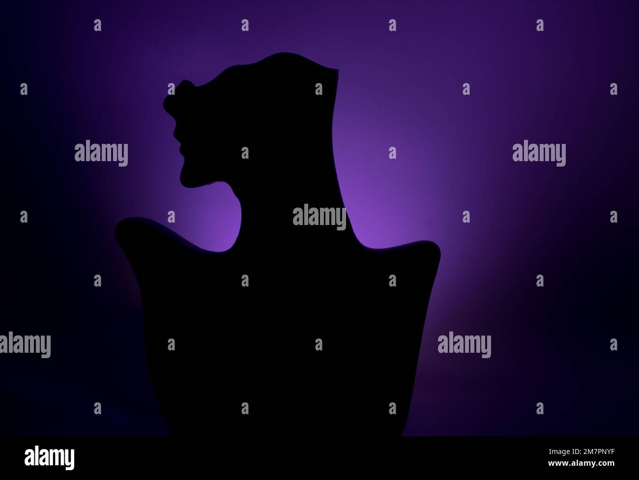 La photographie de silhouette est une image sombre et solide d'un sujet sur un arrière-plan plus lumineux. Les premières silhouettes sont originaires de la France des années 1850 ! Banque D'Images