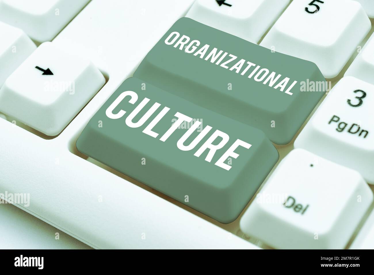 Légende présentant la culture organisationnelle. Concept signifiant l'étude de la façon dont les gens interagissent au sein des groupes Banque D'Images