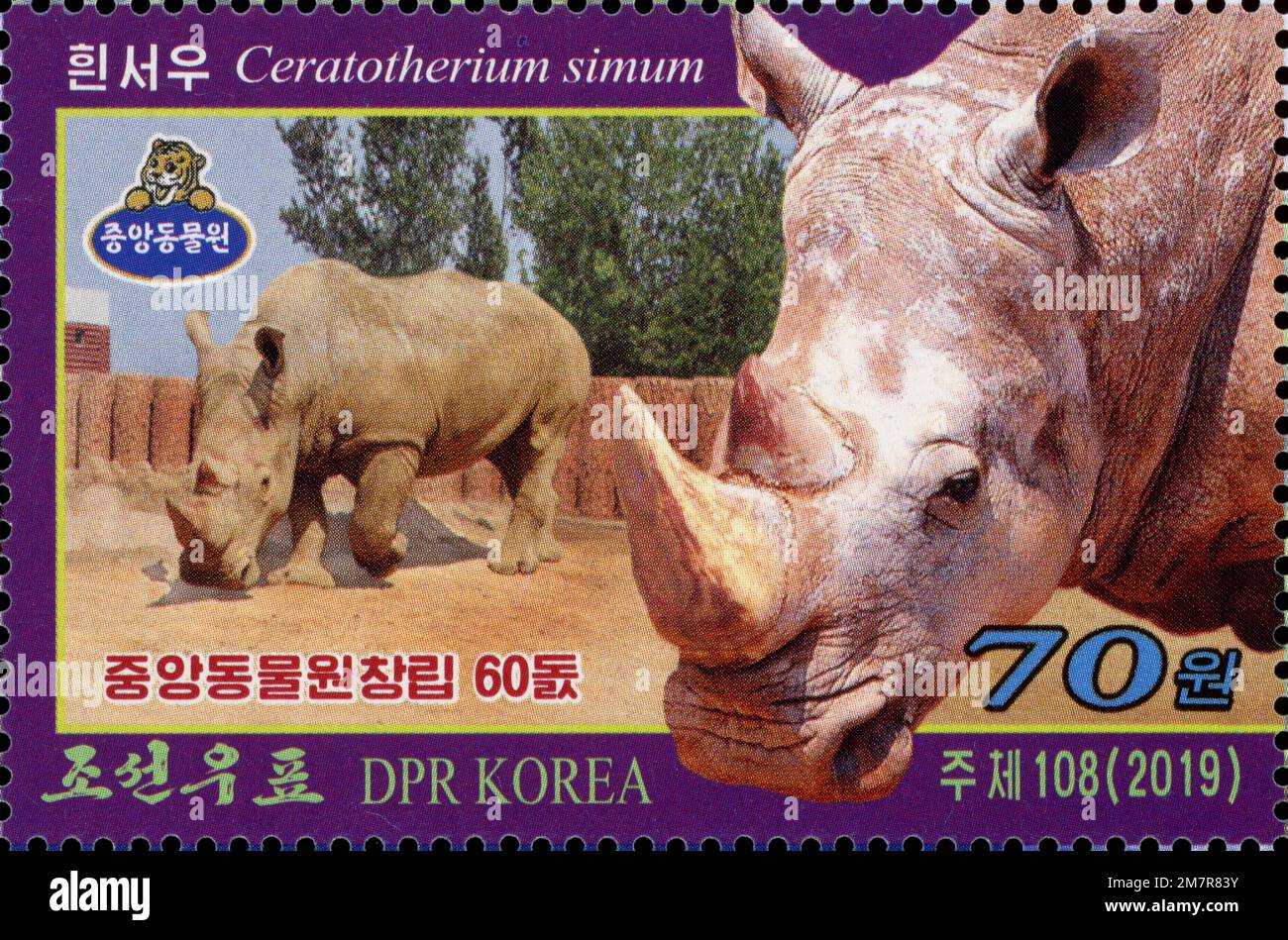 Timbre-poste nord-coréen de 2019 célébrant le 60ème anniversaire du zoo central de Corée, représentant le rhinocéros blanc (Ceratotherium simum). Banque D'Images