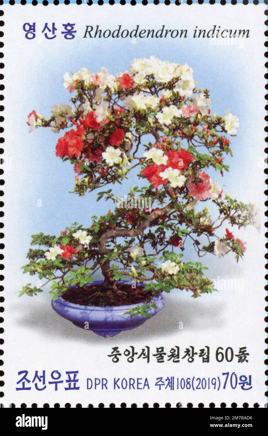 Timbre-poste nord-coréen de 2019 représentant un bonsaï Rhododendron indicum célébrant le 60ème anniversaire des jardins botaniques centraux. Banque D'Images
