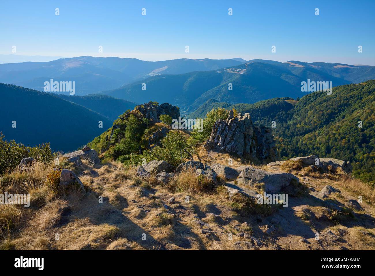 Chaîne de montagne, Bergkam, demain, été, Hohneck, La Bresse, Vosges,  Alsace-Lorraine, France Photo Stock - Alamy