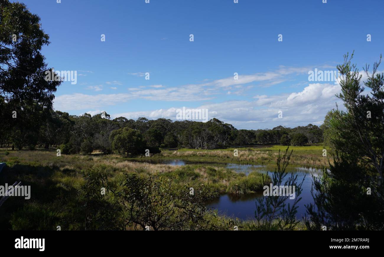 Parc naturel de Phillip Island Banque D'Images