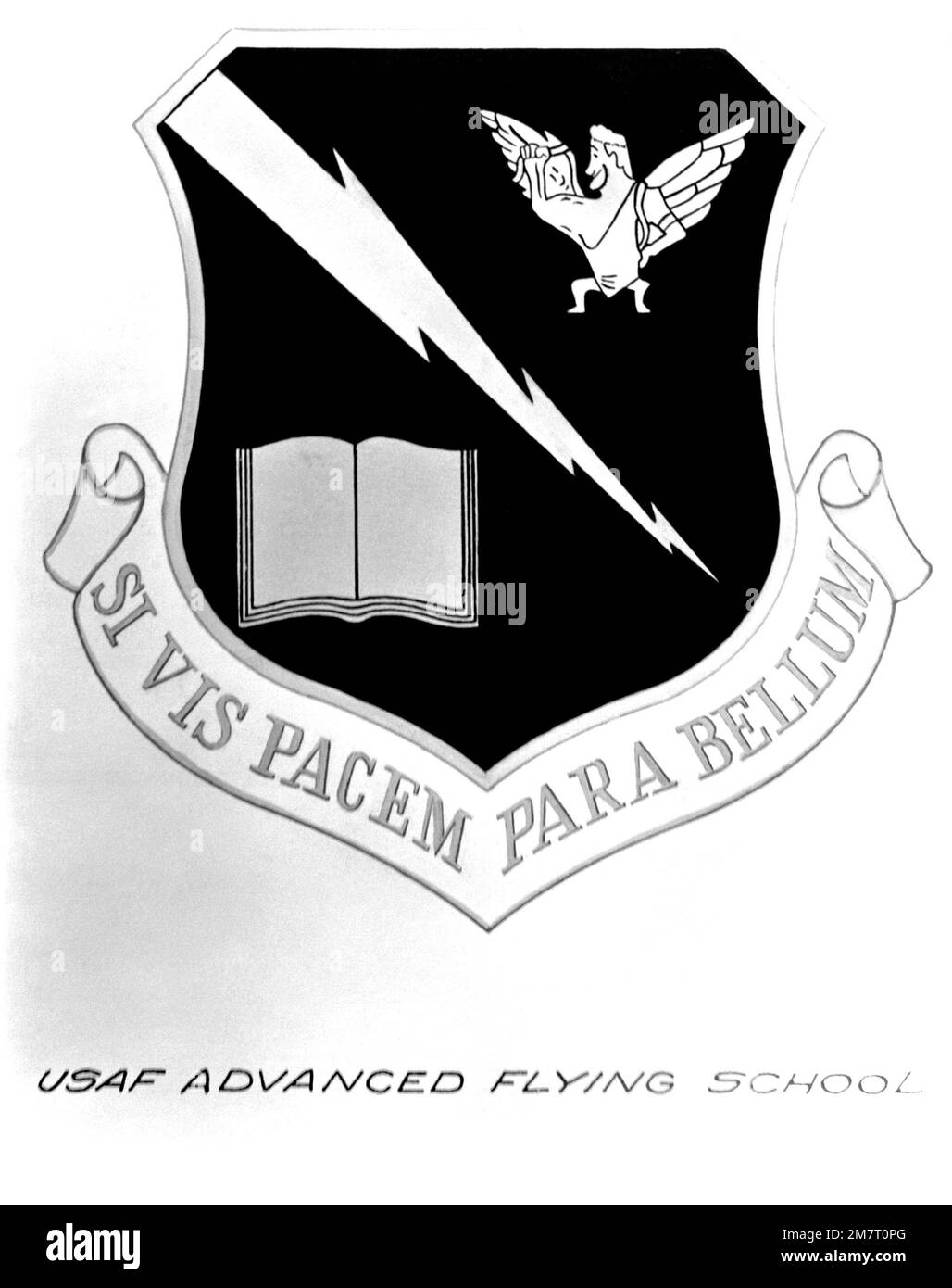 Insigne approuvé pour: USAF Advanced Flying School. Pays : inconnu Banque D'Images Insigne approuvé pour: USAF Advanced Flying School. Pays : inconnu Banque D'Images