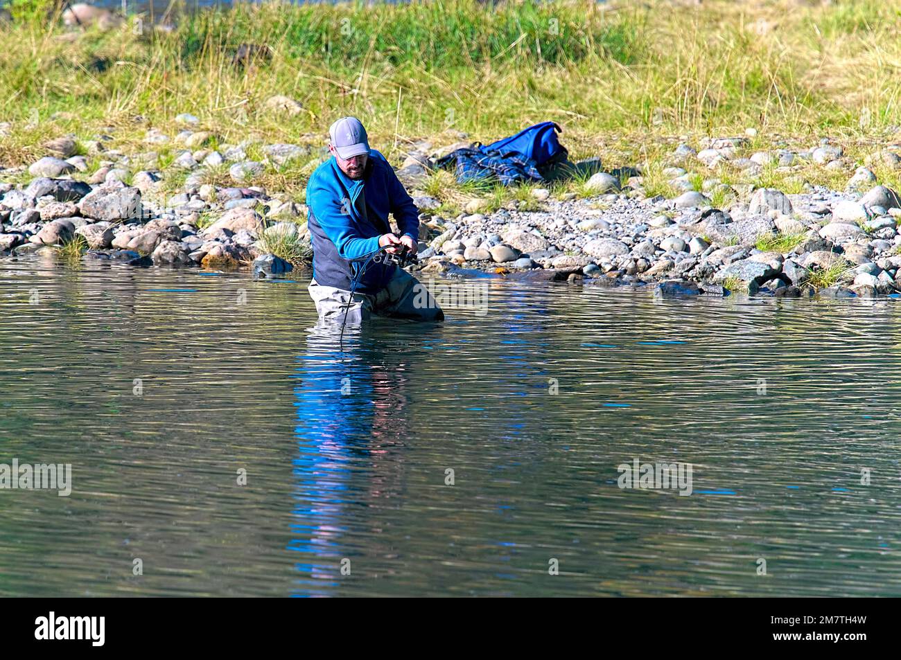 Un pêcheur qui barbote dans un ruisseau avec une canne à pêche courbée jouant un poisson lors d'un saumon d'automne dans la région métropolitaine de Vancouver, en Colombie-Britannique, au Canada. Novembre 2020. Banque D'Images