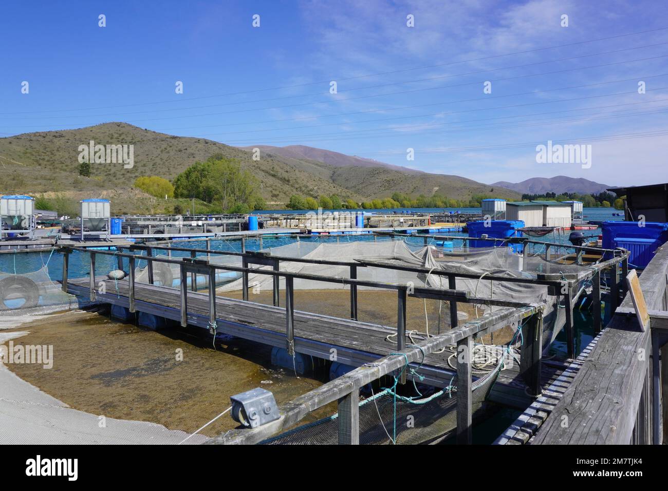 Ferme de saumon dans le High Country de Nouvelle-Zélande Banque D'Images