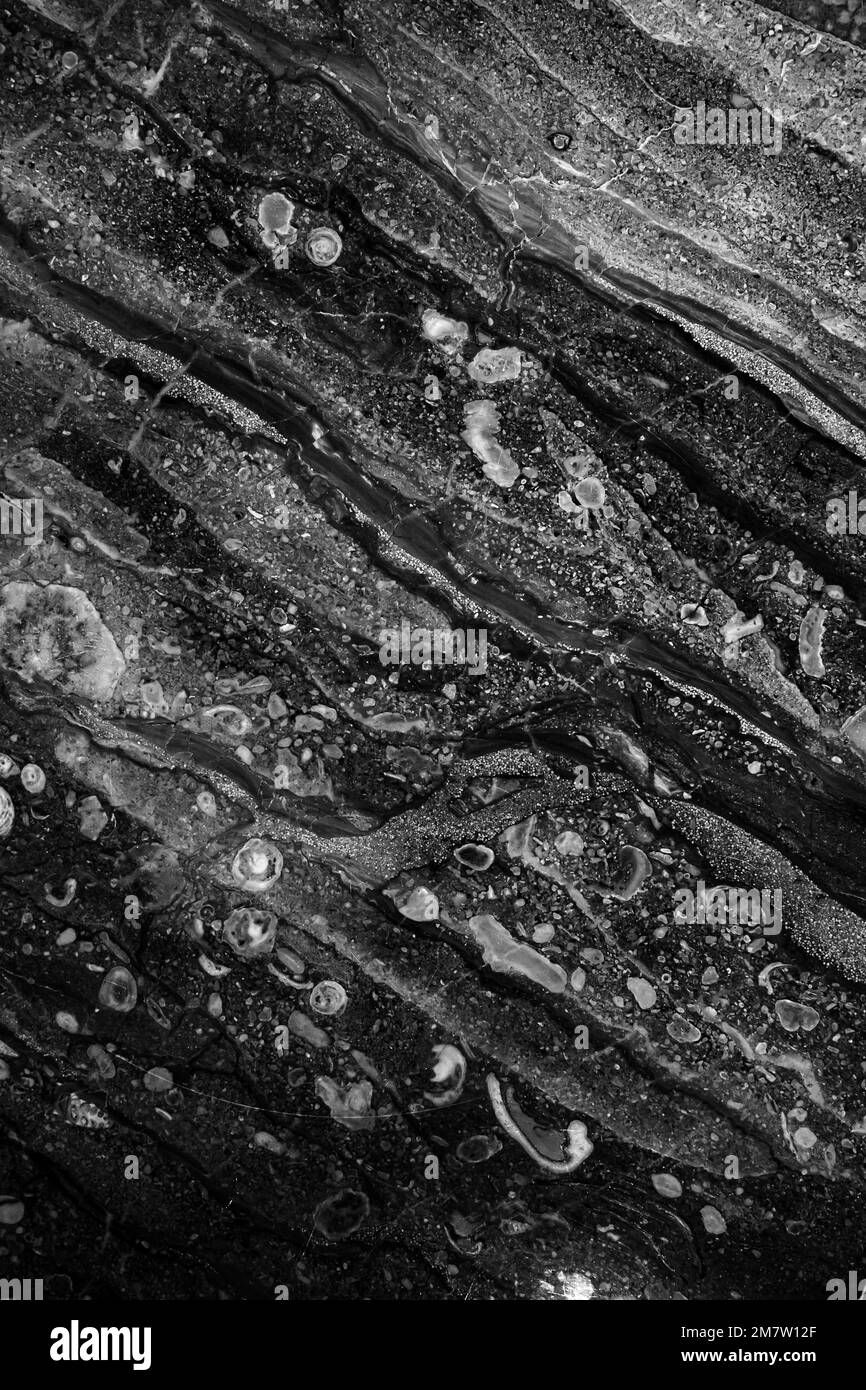 Marbre noir naturel. Texture verticale de la photo d'arrière-plan, vue de face Banque D'Images