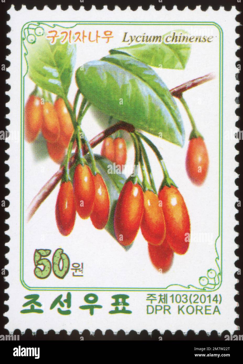 Ensemble de 2014 timbres de Corée du Nord. Plantes médicinales. Banque D'Images