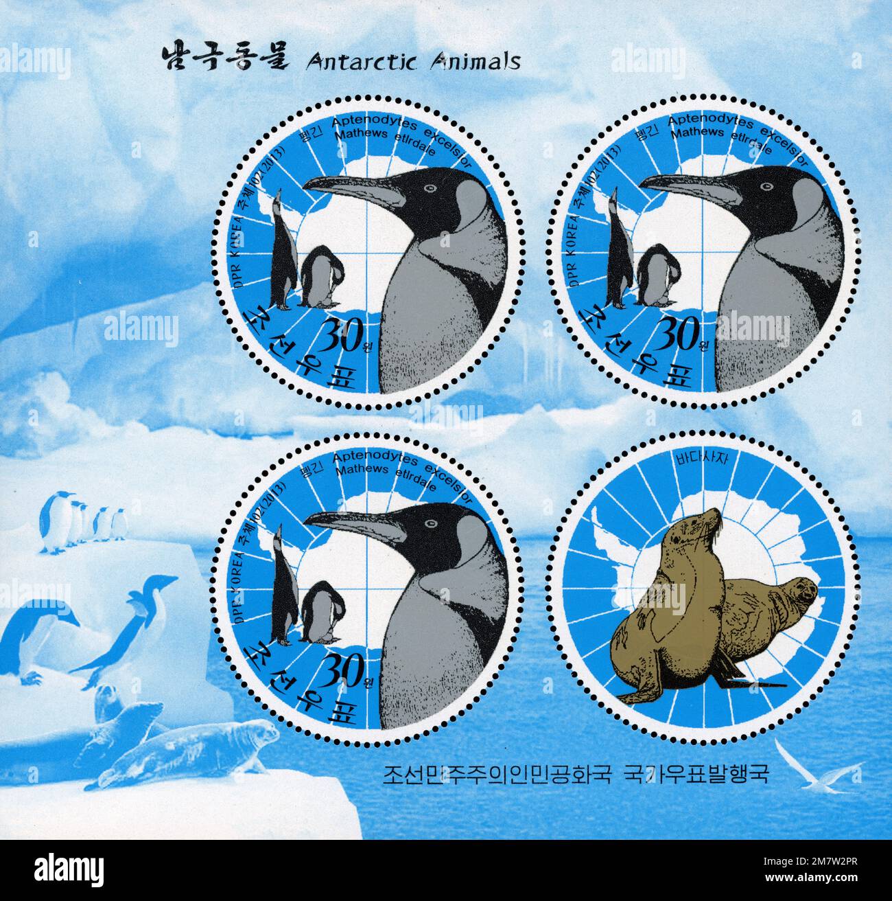 2013 timbre rond de la Corée du Nord. Faune de l'Arctique et de l'Antarctique. Grand pingouin, Aptenodytes patagonicus Banque D'Images