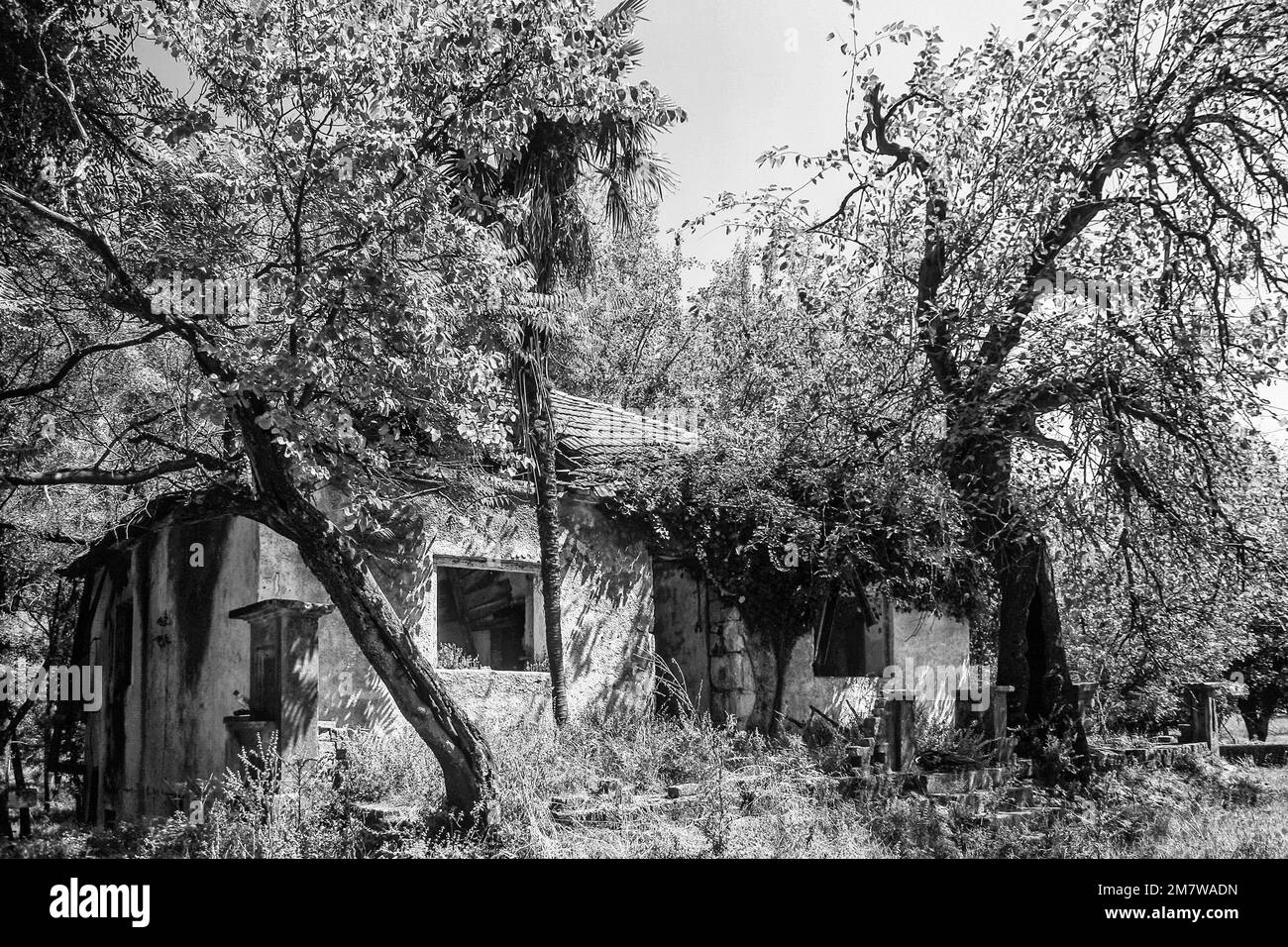 maison détruite et délabrée. photo en noir et blanc Banque D'Images
