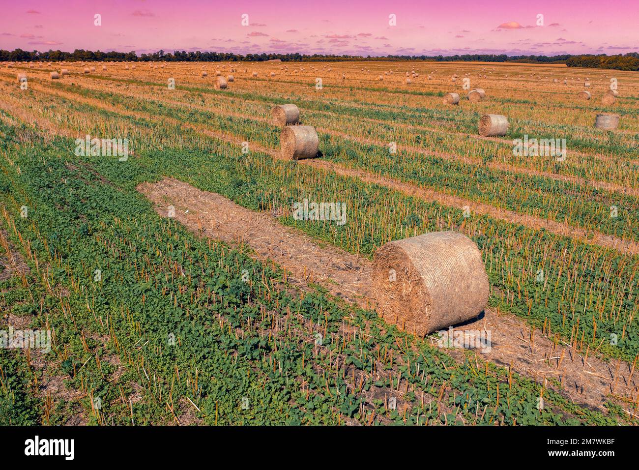 Paysage rural le soir. Champ après récolte avec des balles de paille Banque D'Images