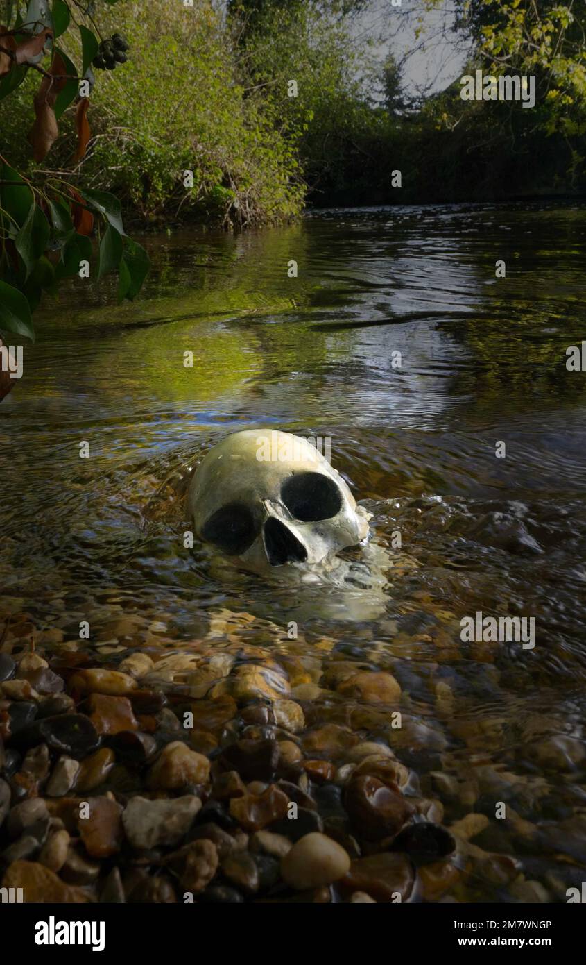 Crâne humain ( réplique) partiellement submergé sur le bord d'une rivière, mystère meurtre thriller livre de style couverture. Banque D'Images Crâne humain ( réplique) partiellement submergé sur le bord d'une rivière, mystère meurtre thriller livre de style couverture. Banque D'Images