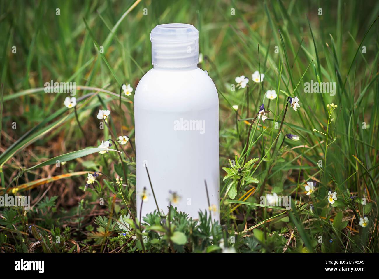 Shampooing avec tenture de pansy sur le terrain. Bouteille cosmétique, emballage du produit de distribution de shampooing. Maquette de bouteille en plastique dans un pré parmi la fleur Viola arv Banque D'Images