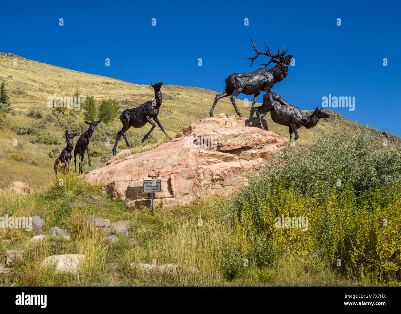 Exposition d'art en plein air sur la faune au Jackson Art Museum Grand Teton National Park Wyoming, Amérique du Nord, États-Unis Banque D'Images