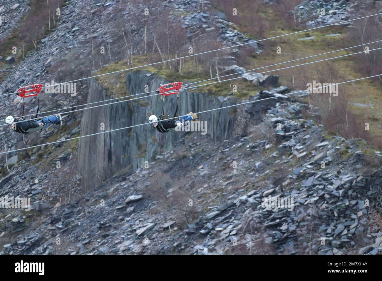 Zip World Penrhyn Quarry, pays de Galles du Nord Banque D'Images