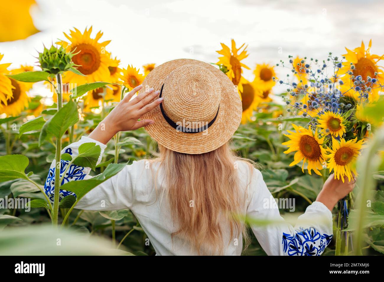 Jeune femme élégante marchant dans un champ de tournesol en fleurs au  coucher du soleil cueillant des fleurs. Vêtements ethniques de mode  féminine Photo Stock - Alamy