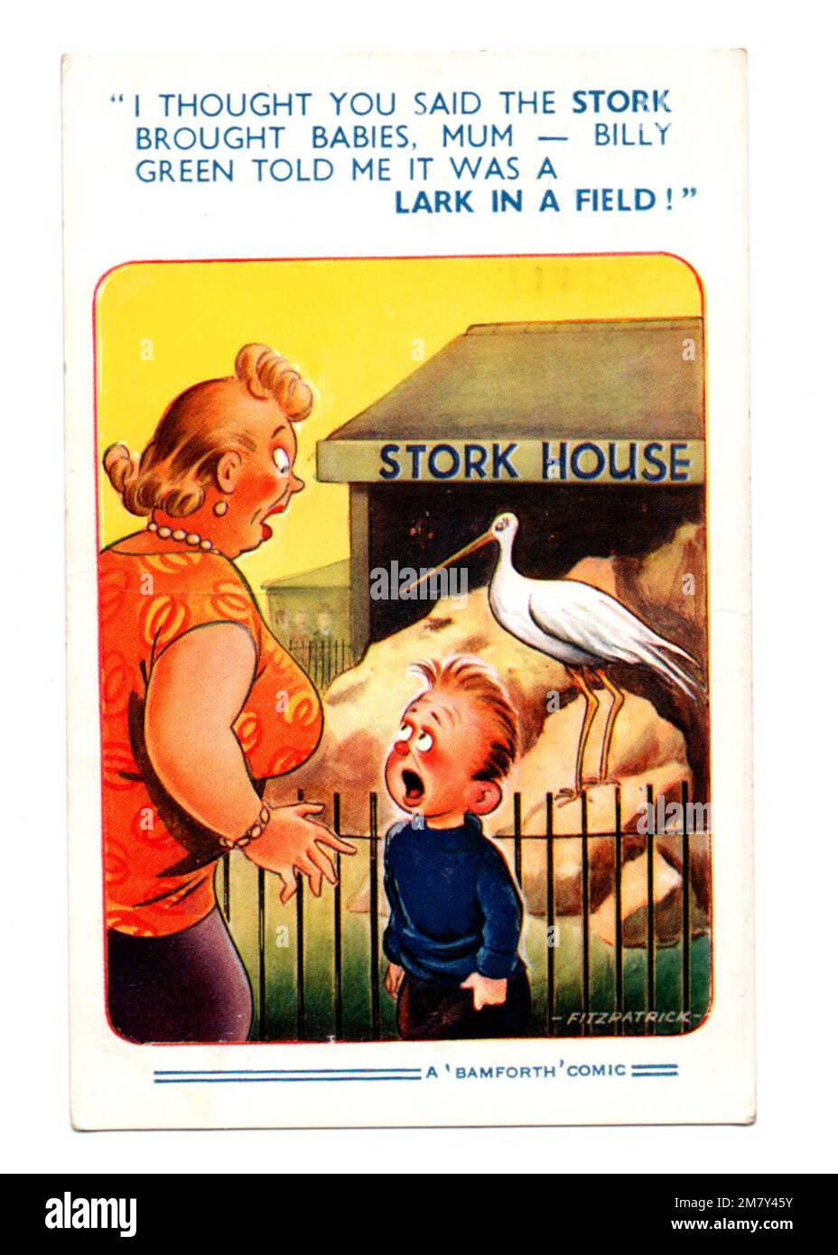 Bamforth Comic Postcard No 2141 des années 1960 par l'artiste Fitzpatrick. « Je pensais que vous avez dit que The Stork apportait des bébés », célèbre humour britannique Seaside Banque D'Images