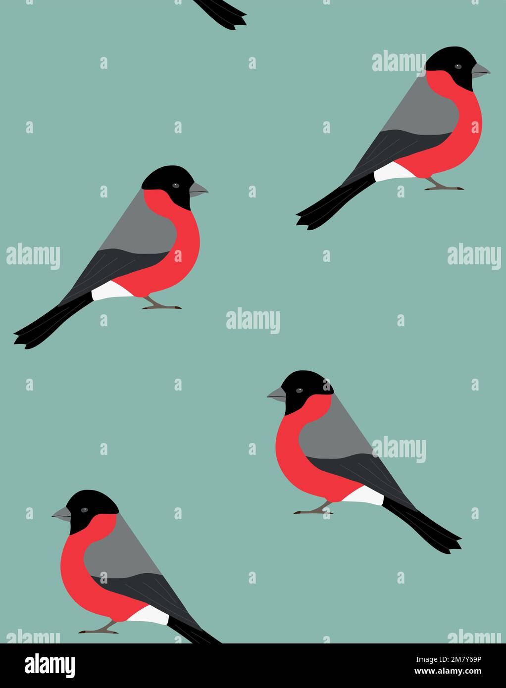 Motif vectoriel sans couture d'oiseau de taureau Illustration de Vecteur