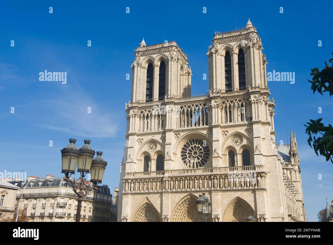 Cathédrale notre-Dame de Paris, Paris, France Banque D'Images