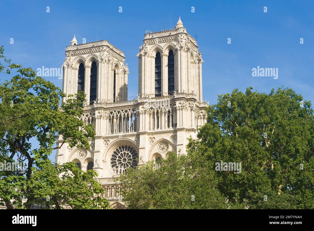 Cathédrale notre-Dame de Paris, Paris, France Banque D'Images