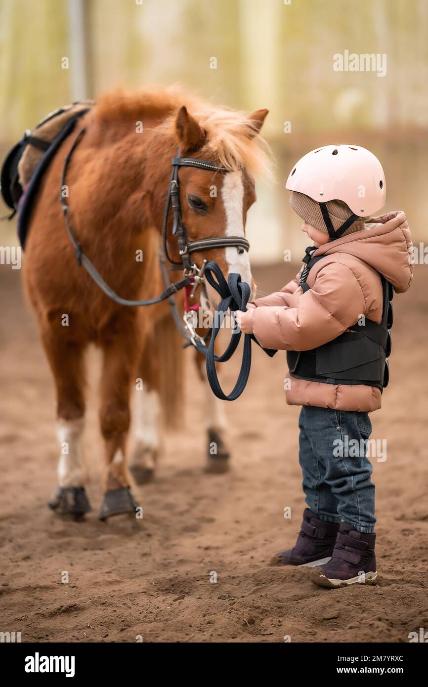 Portrait d'une petite fille dans une veste de protection et un casque avec son poney brun avant de monter leçon Banque D'Images