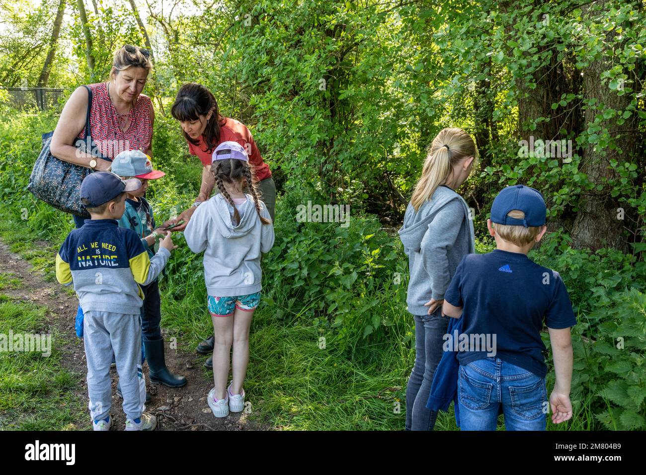 SURVEILLANCE, NATURE ET DÉCOUVERTE DE LA FLORE ET DE LA FAUNE AUTOUR DE