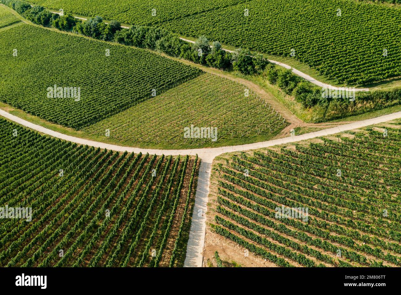 Vignobles de Villany. C'est l'une des régions viticoles les plus célèbres de Hongrie. Ce nom de formation géologique étonnant est le fossé du diable. Le nom hongrois est ordoga Banque D'Images