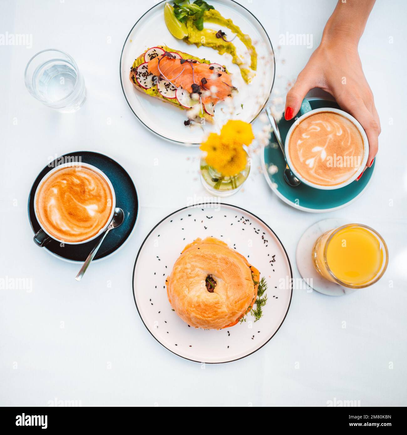 Vue de dessus de la femme inconnue portant des toasts d'avocat Banque D'Images