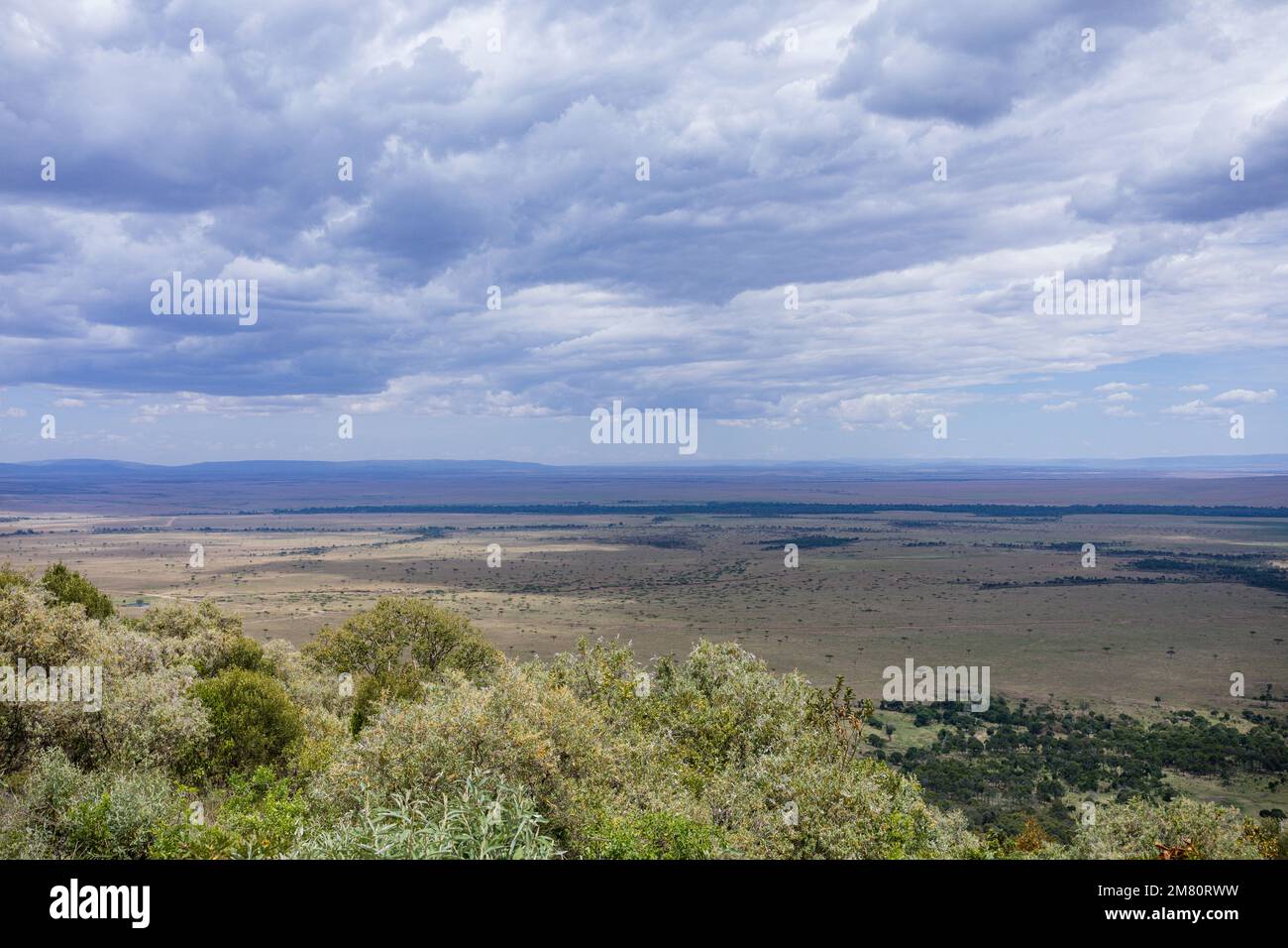Kenyan images de mariage photos mise en place Rigs Accessoires Détails nourriture robe de mariée robes couple mariée anneaux chaussures à l'extérieur à l'intérieur sauvage bushepic Banque D'Images