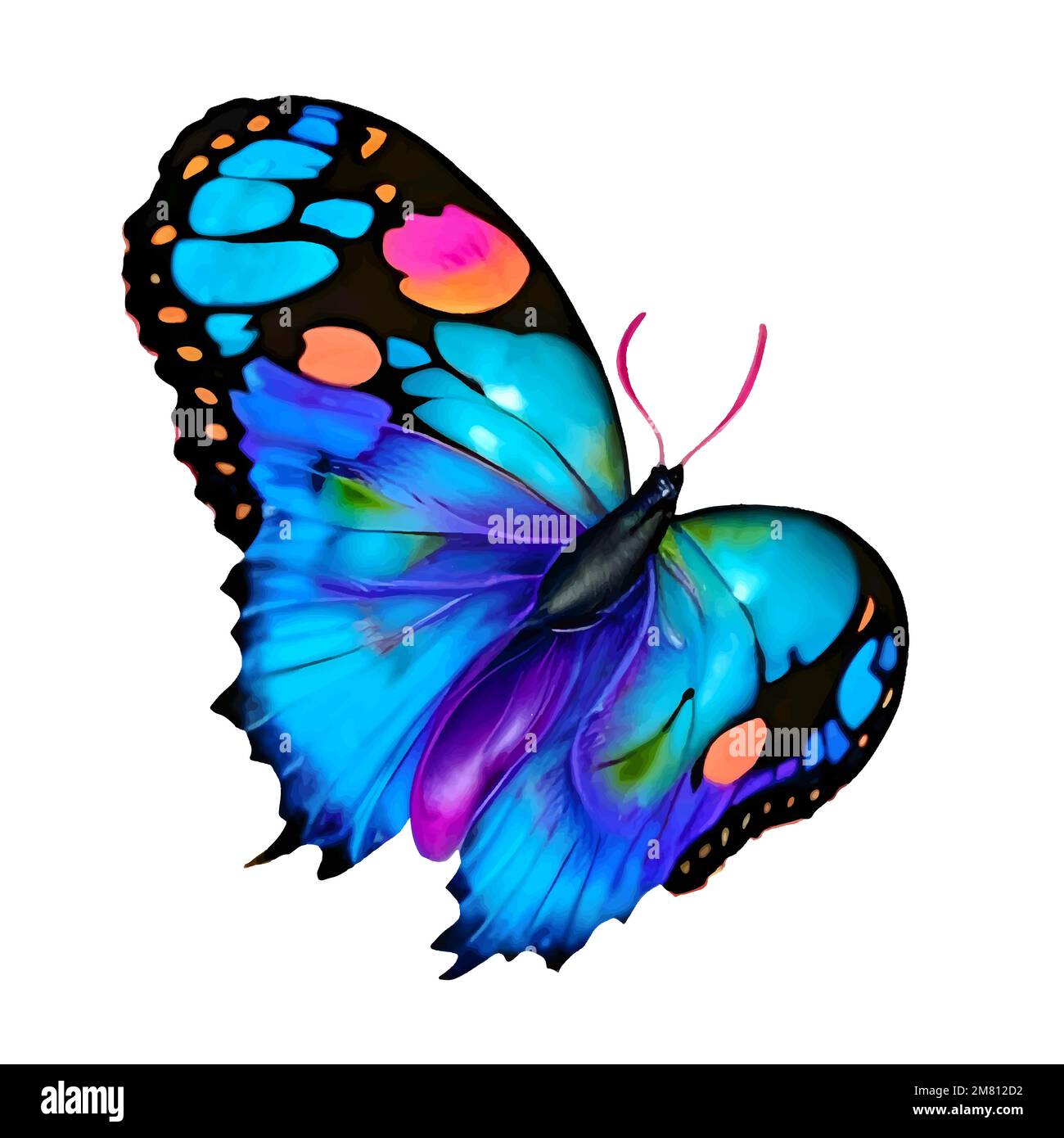 Papillon de couleur bleu vectoriel isolé sur fond blanc, fragile, beau, insecte tropical, décoration peinte Illustration de Vecteur