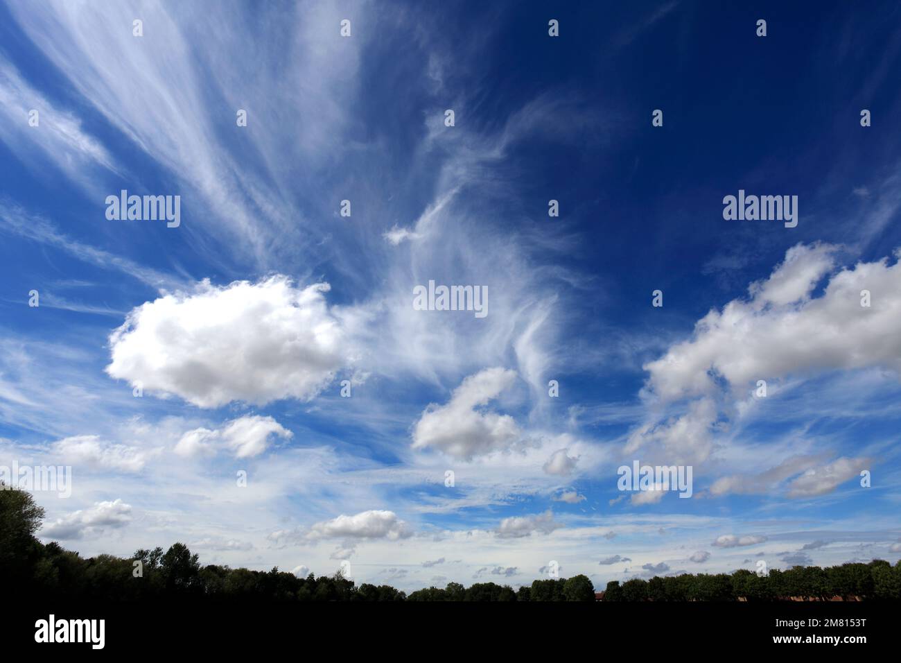 Cumulus humilis nuages dans un ciel bleu profond. Banque D'Images